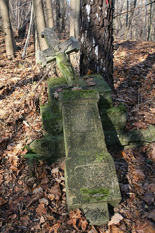 Rostoczek 11.2008 257